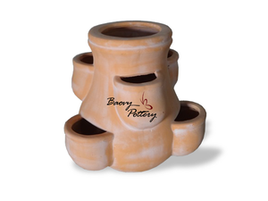 Strawberry Terracotta Pots