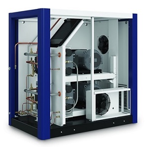 Oil free rotary screw compressor - D series