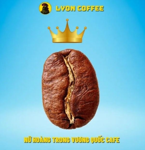 Cau Dat Moka Coffee Beans