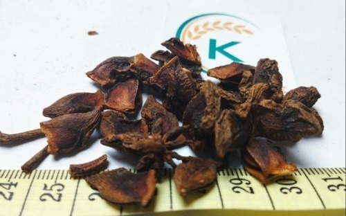 Broken Star Anise