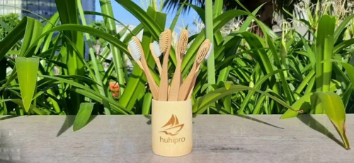 Bamboo Toothbrush