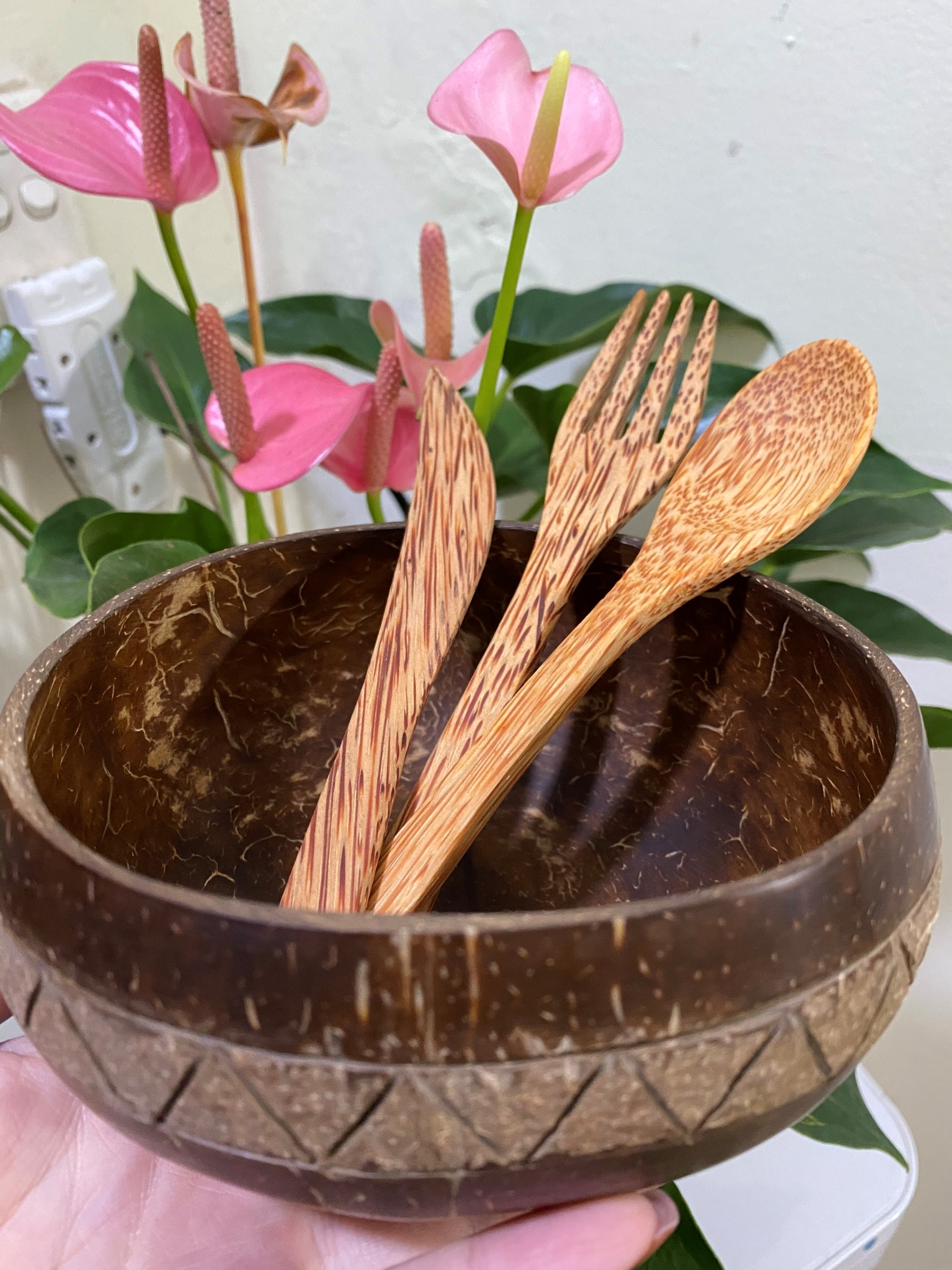 Coconut Bowl