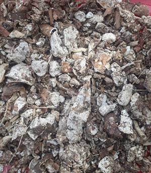 Cassava Peel