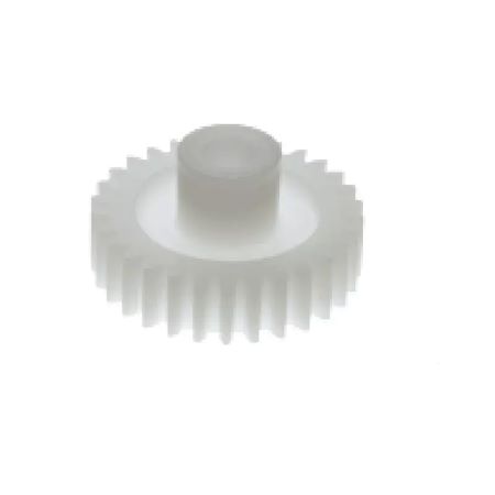 Spur Gear