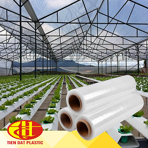Greenhouse Film