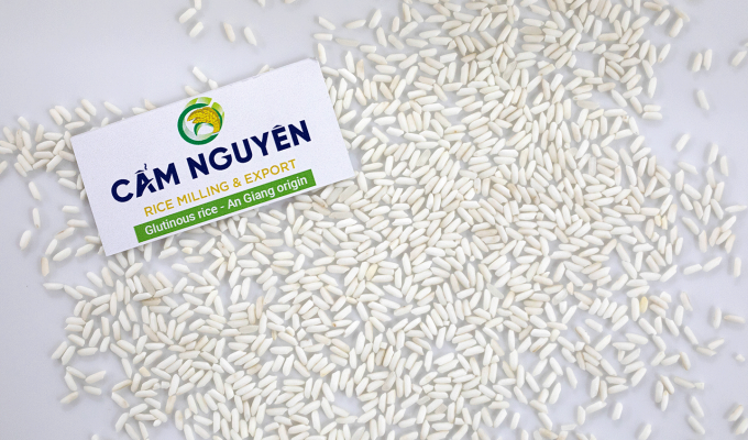 An Giang Glutinous Rice