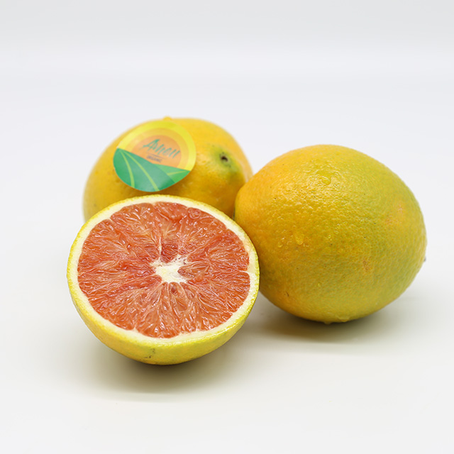 Fresh Cara orange