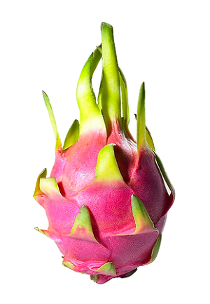 Dragon Fruit