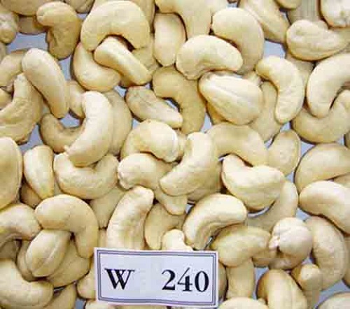 Raw cashew kernels W240