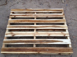 Type 2 Export Pallet