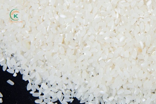 Japonica 5% Broken Rice
