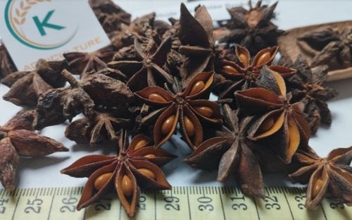 Spring Star Anise