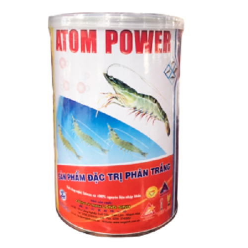 Atom Power