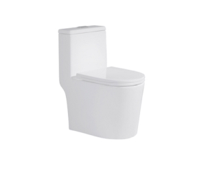 One Piece Toilet
