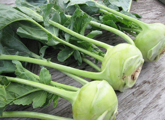 Kohlrabi
