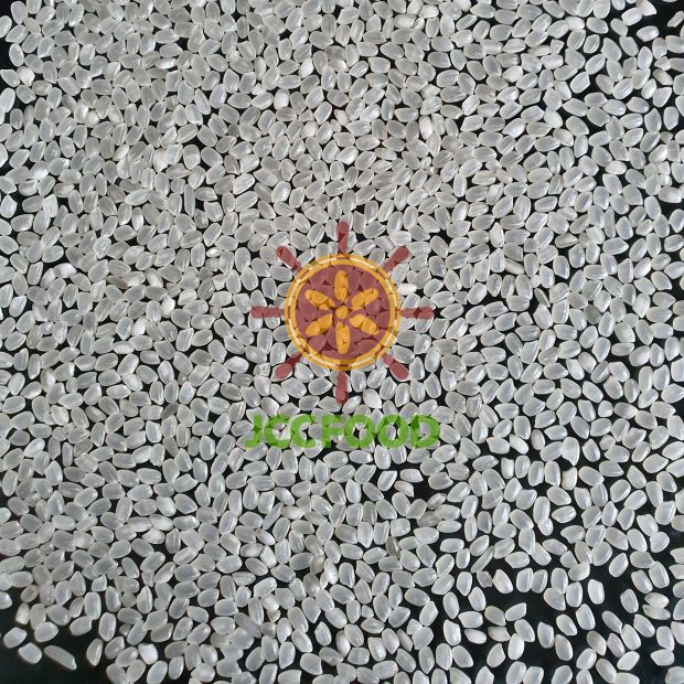 Round Grain White Rice
