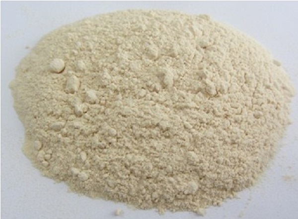 Garlic powder