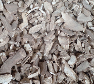 Sliced Cassava