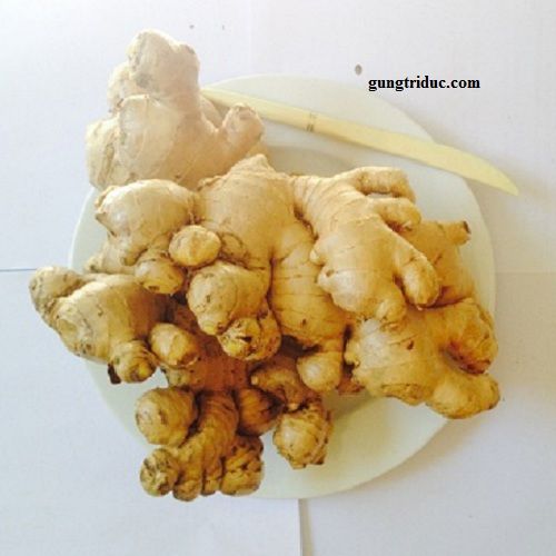 Big Fresh Ginger