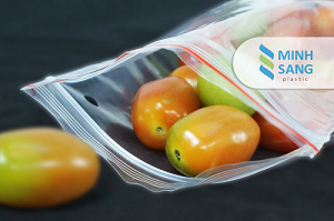 Zipper Bag