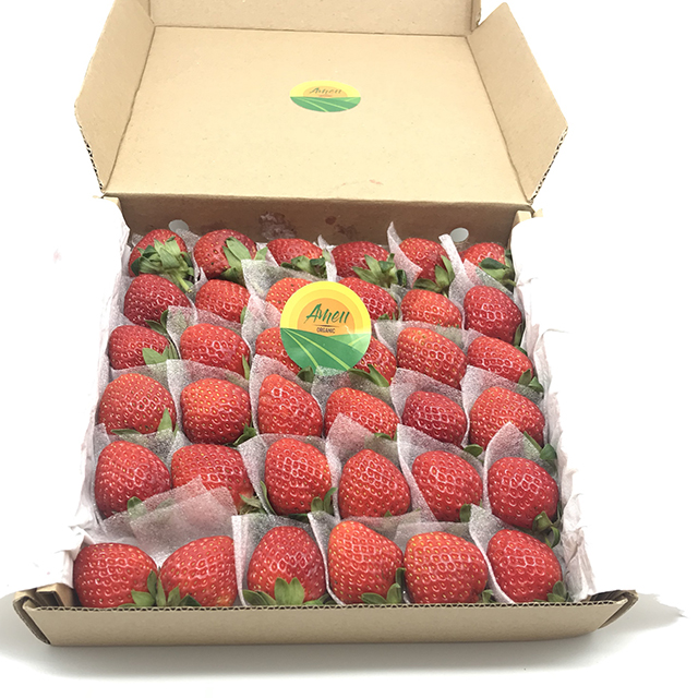 Fresh strawberry