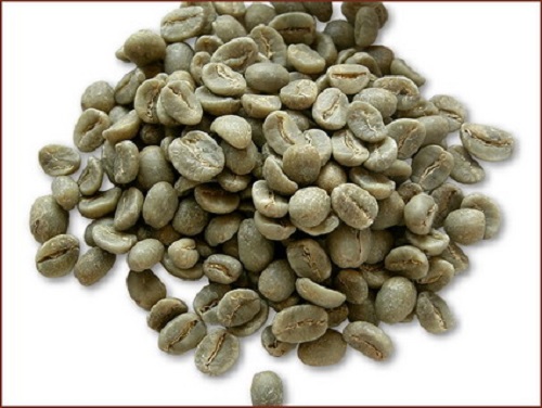Arabica G1S18