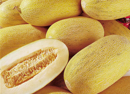 Cantaloupe