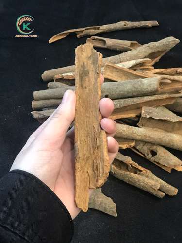 Broken Cinnamon