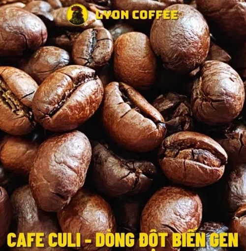 Peaberry Coffee