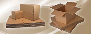 Pressed Plastic, Rattan, Wooden Box