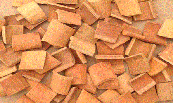 Square cassia