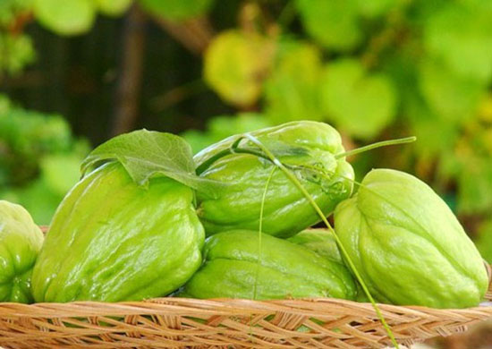 Chayote
