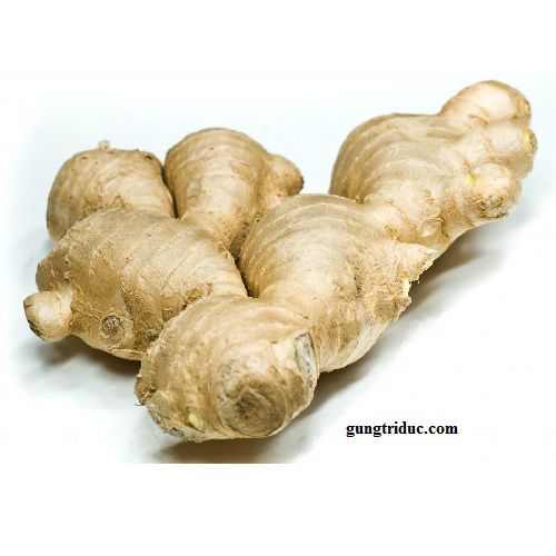 Seeded Ginger