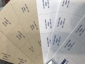 Ecoheim Paper