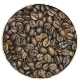 Robusta Coffee