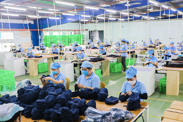 Sewing And Embroidery Solution