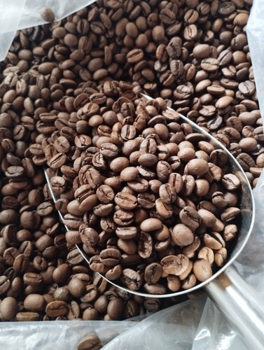Arabica Roasted Coffee – Commercial