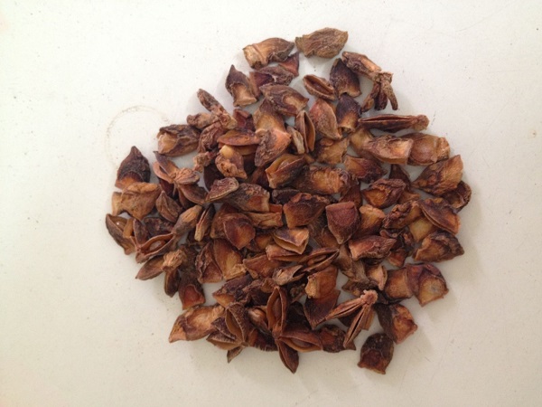 Broken star anise