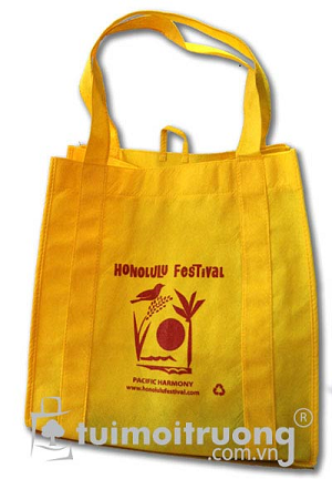 Non Woven Cloth Bag