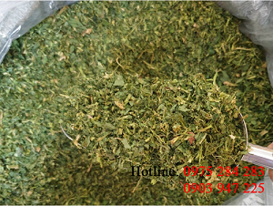 Celery Powder