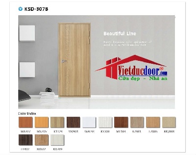 Korean ABS Plastic Door