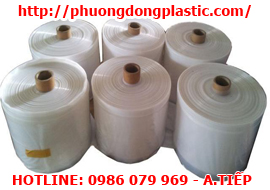 PE Foam
