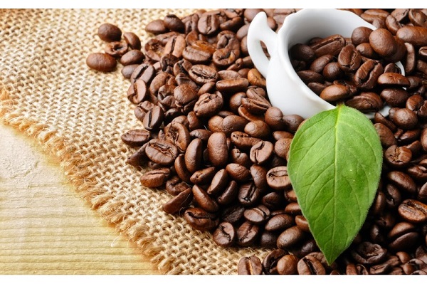 Arabica roasted coffee beans