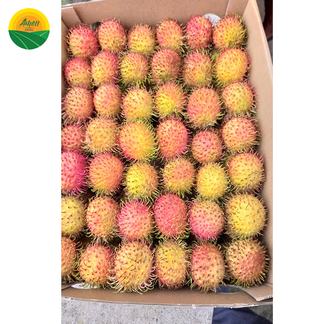 Fresh rambutan