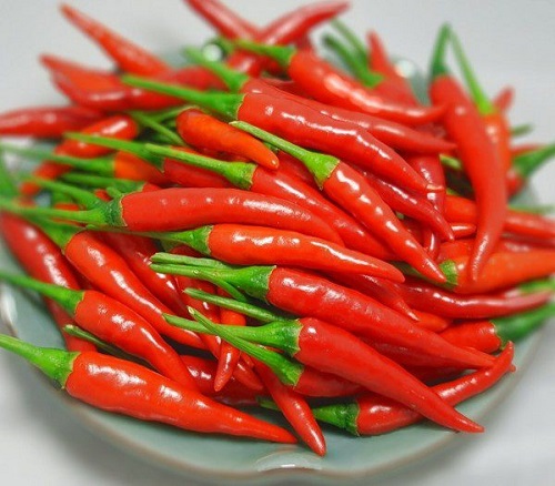 Fresh chilli