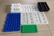 Shaped Plastic Tray