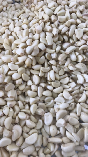 Peeled Garlic