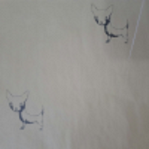 Pelure Paper - 22G, Printed