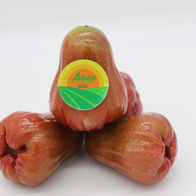 Fresh rose apple