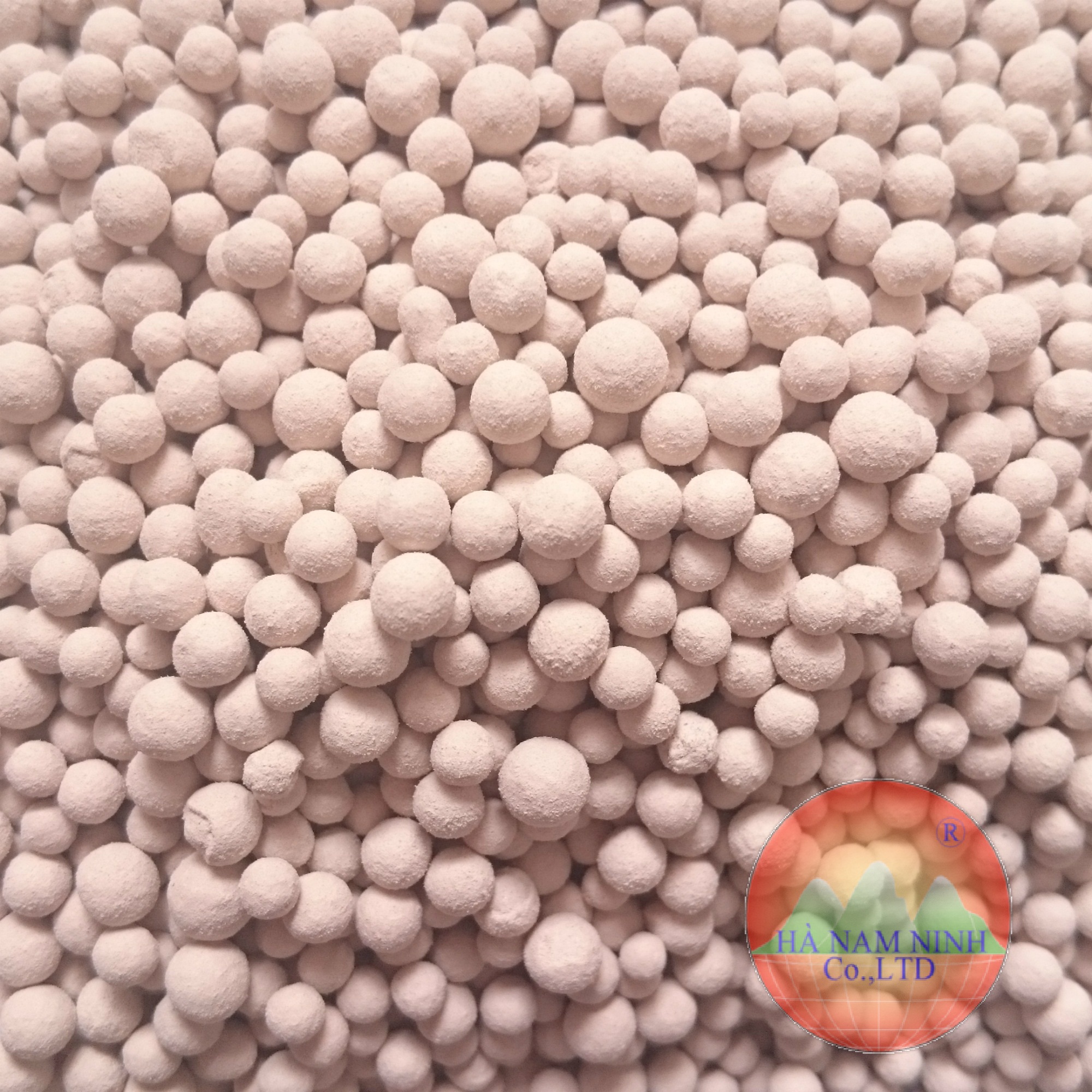 Zeolite
